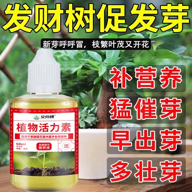 发财树催芽剂植物生根发芽营养液黄叶枯叶烂根专用药W爆芽素活力,鲜花速递/花卉仿真/绿植园艺,家庭园艺肥料,淘宝优惠券,粉丝福利购,淘宝优惠卷