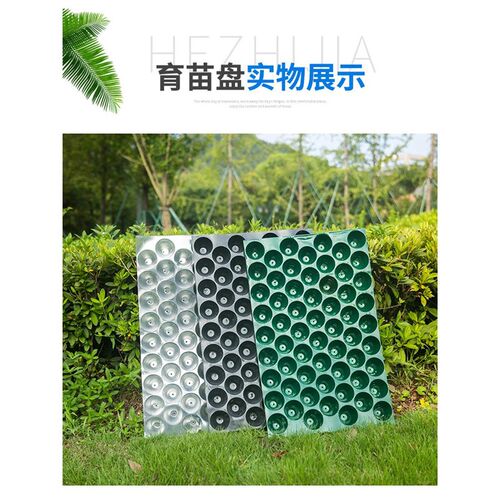 厂家直销a秧盘育苗穴盘 育苗营养钵 蔬菜育种植 烤烟 育秧盘育苗
