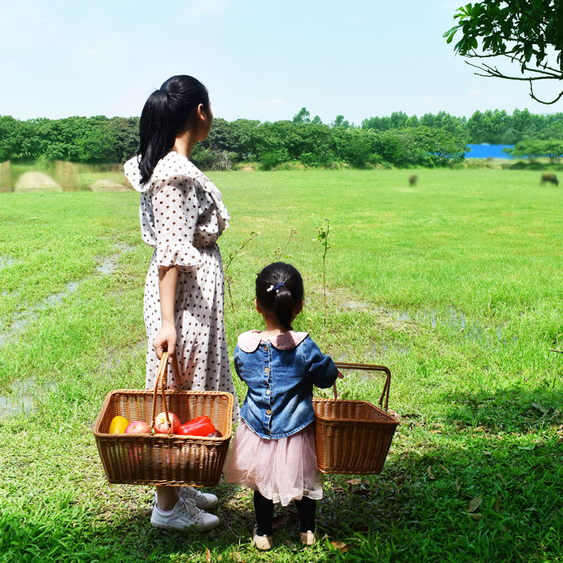 仿藤篮塑料提g手购物篮菜篮子便携式果蔬编织篮采摘果篮零食收纳,收纳整理,其他收纳篮,淘宝优惠券,粉丝福利购,淘宝优惠卷