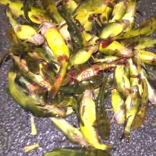 窝忠聚昂刺鱼集鱼液黄颡鱼黄辣丁黄骨鱼嘎鱼鲶鱼小药Z诱鱼剂窝料
