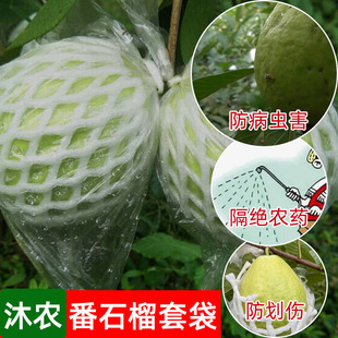 番石榴套袋芭乐防病害虫网袋专用一体泡沫包装袋自带排水排气孔