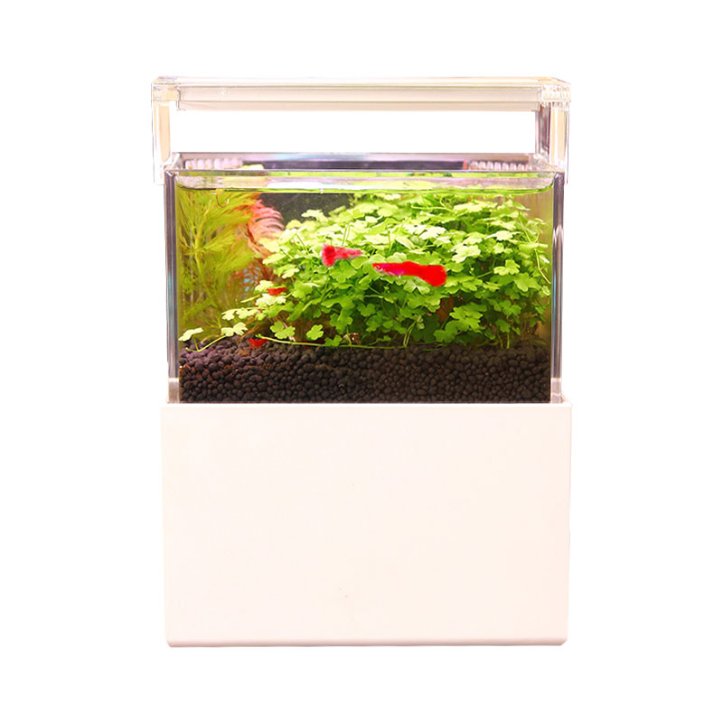 仟锐桌面鱼缸迷你客厅小型家用生态亚克力海水淡水水族箱