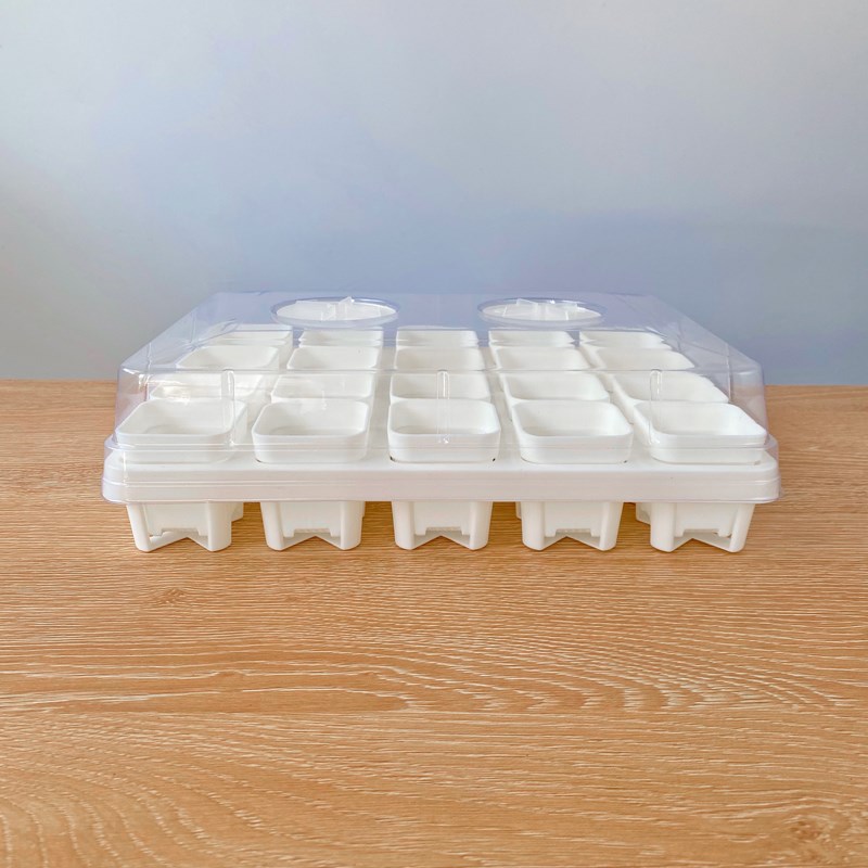 5cm口径 多肉植物花盆配托架托盘组合盖闷养保湿配托盘叶扦插育苗