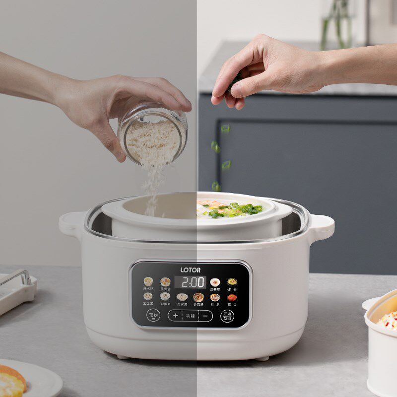 lotor徕多电炖盅隔水炖家用煲汤锅煮粥2025新款不锈钢蒸炖电炖锅