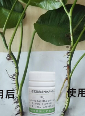 生根粉扦插用萘乙酸钠植物通用发根育苗树木强力快速生根粉移栽树