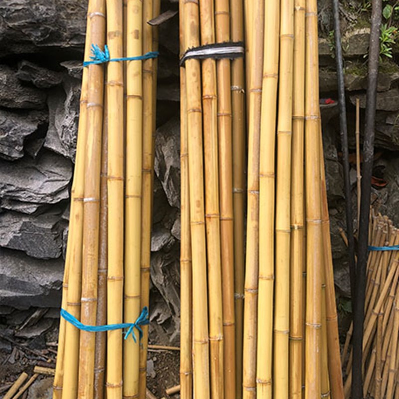 户外竹竿爬藤架装饰竹子黄u瓜架蔬菜架搭棚菜园架子月季爬藤竹竿