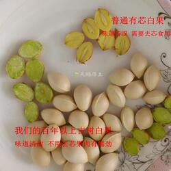 新鲜白果 银杏果 南雄坪田百年古树老树白果不用去芯不苦两斤包邮