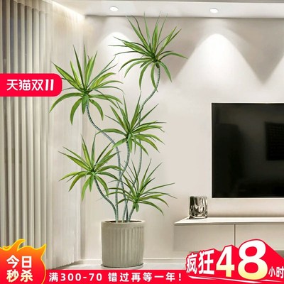速发轻奢客厅绿盆龙树血龙舌兰假树植物植栽室内装饰落地盆景摆件