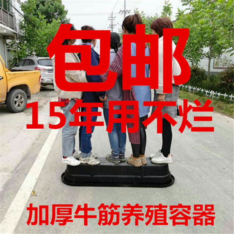 速发喂马槽养马槽养牛槽水产养殖用品洗澡盆驼羊食料盆鸵鸟饲料盆