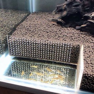 速发挡沙板隔沙板挡泥鱼隔档板隔沙板挡沙砂拦板缸底滤亚克力水族