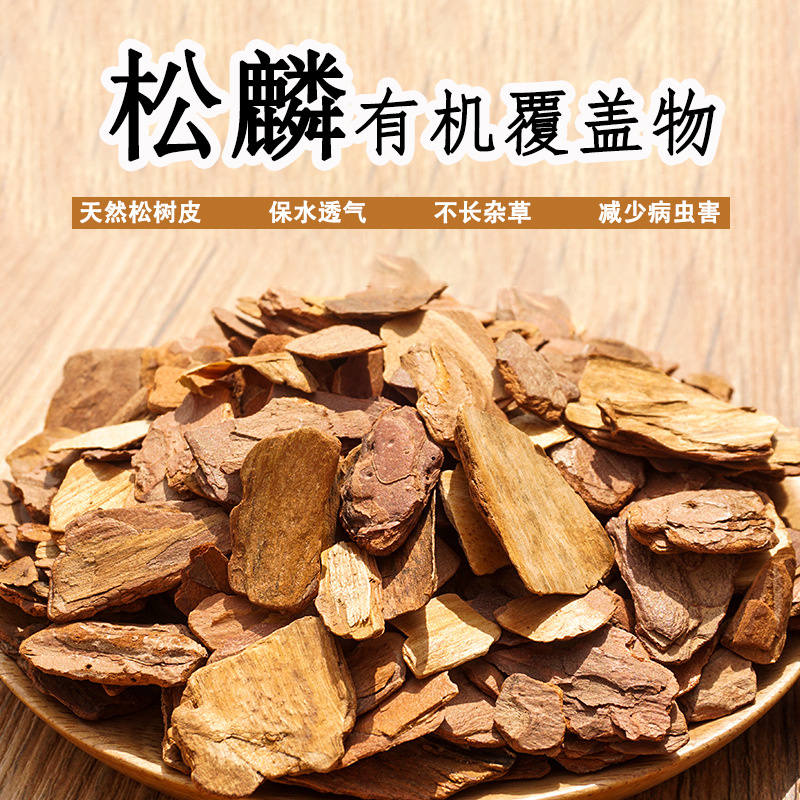 速发松麟机有覆盖物花园大景装饰户外庭院造块腐熟松树皮园艺铺垫