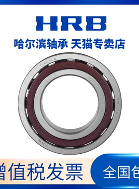 速发哈 滨平面推力双向角接触P轴承24717 24718 BM X尔球5 P4 P2