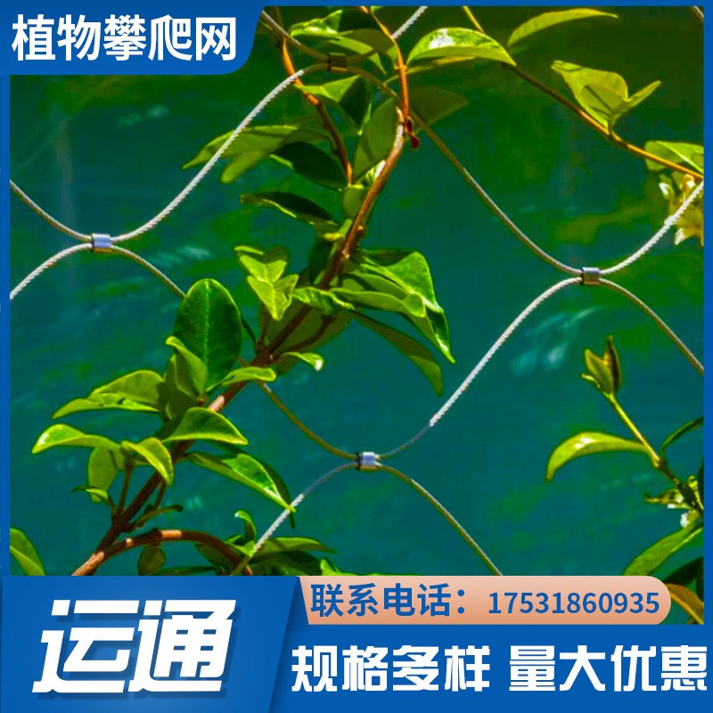 速发【穿插不锈网绳网】A濮植物攀爬编织绳钢A0插植物攀爬穿4绳网