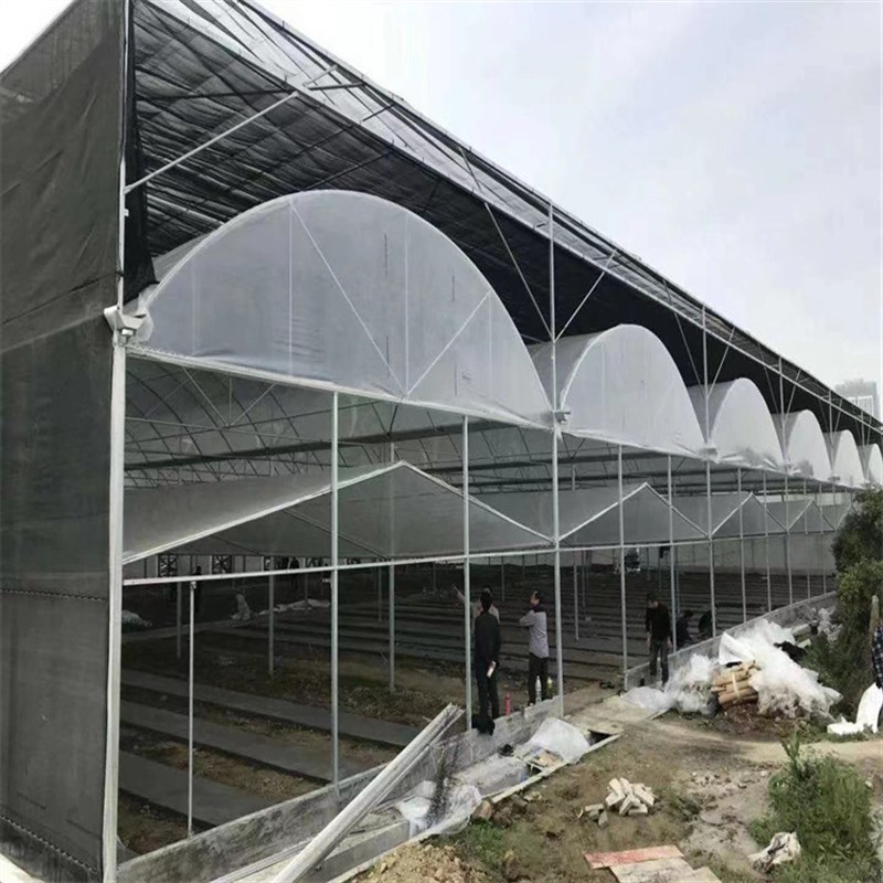 速发武汉螺旋地桩地钩 锚塑料大棚骨架地 新型圆拱形连栋体连大棚