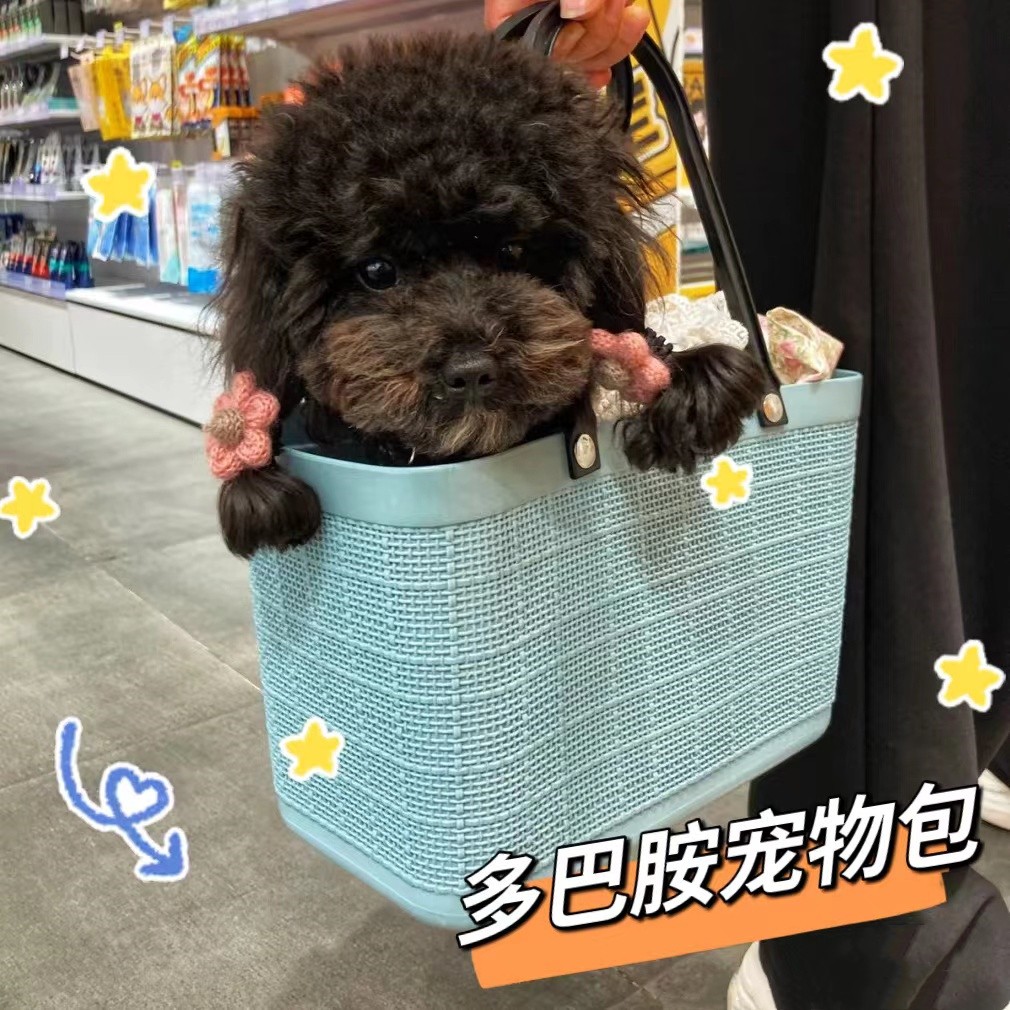 速发外篮便携包手提出小体型遛泰迪比熊装狗袋透气犬狗编织包