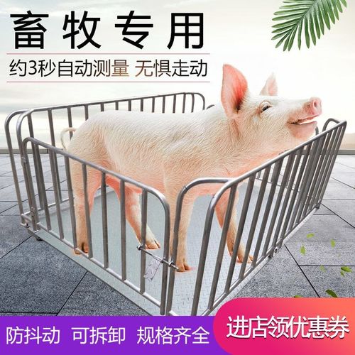 速发猪电电子地磅秤1-吨称牛秤子秤动物称带围栏防动锁定畜牧小地