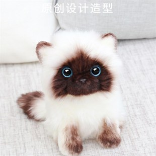 速发可爱暹罗猫玩偶超萌娃娃猫咪毛件绒具家居摆玩生日礼物