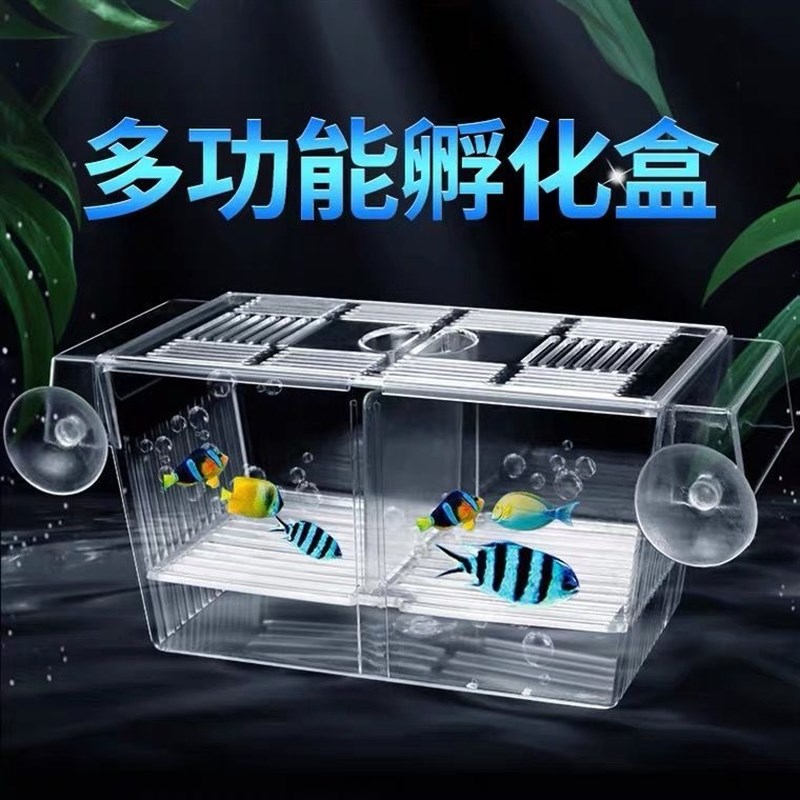 速发自浮幼鱼苗盒双层式鱼孵化离孔雀鱼病鱼隔盒盒斗鱼盒繁殖器