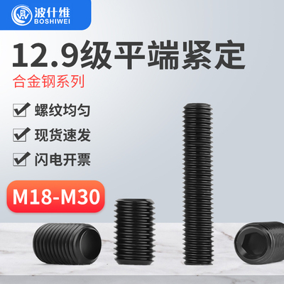 12.9级平端紧定螺丝DIN913顶丝机米螺C钉无头螺丝M18M20M22M24M30