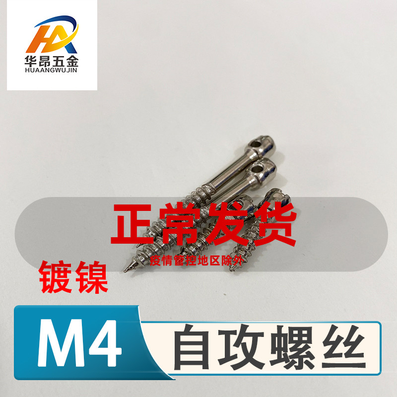 电表箱配件自攻j螺丝带孔自攻丝灯饰配件专用铅封钉M4尖头钻尾螺