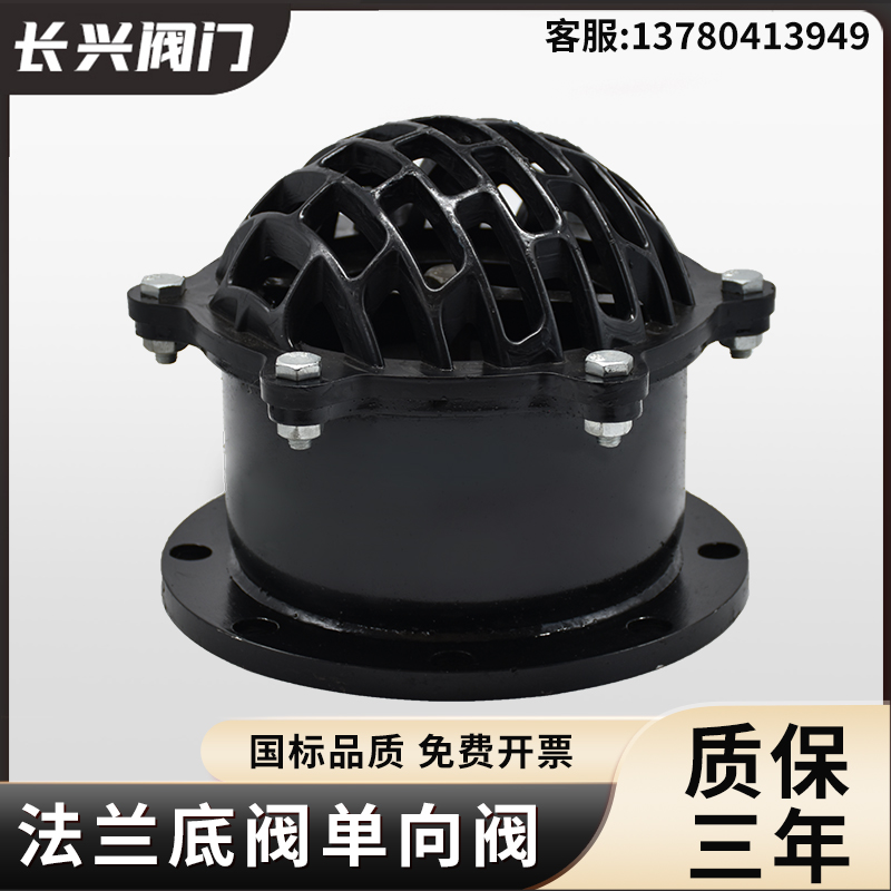 H42X-6-10-16法兰底阀止逆阀止回阀碳钢水R泵抽水泵吸水底阀DN