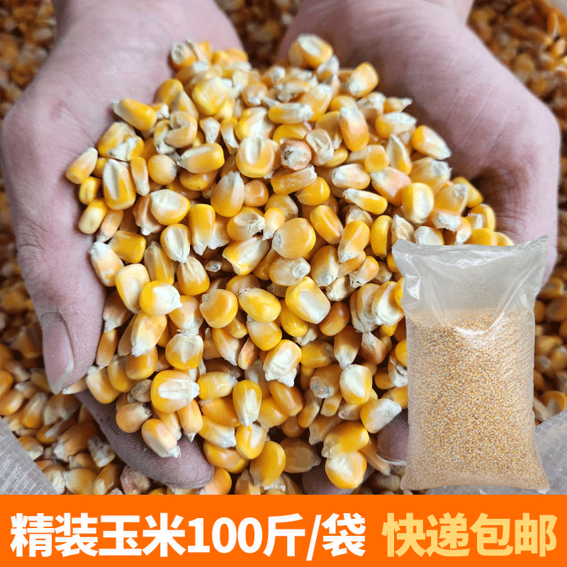玉米粒养鸡饲料苞米碴子喂鸡鸭鹅家禽原粮破碎钓鱼专用打窝100斤