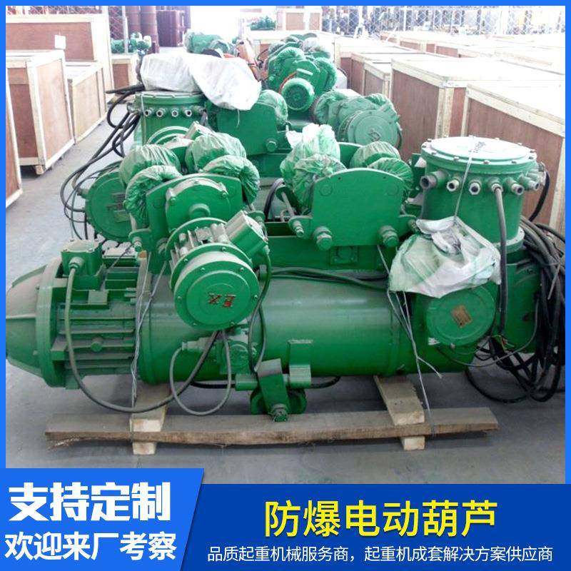 2吨防爆电动葫芦起重装卸设备起重葫芦防爆钢丝绳电动葫芦2t6m9m