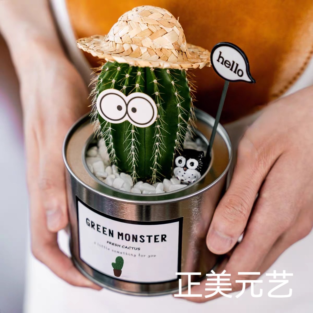 铁罐仙人掌大凤龙蓝柱龙神木万重山多肉盆栽组ins桌摆活动伴手礼