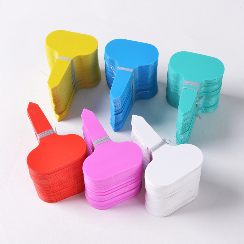 优质塑料多肉植物标签花卉园艺