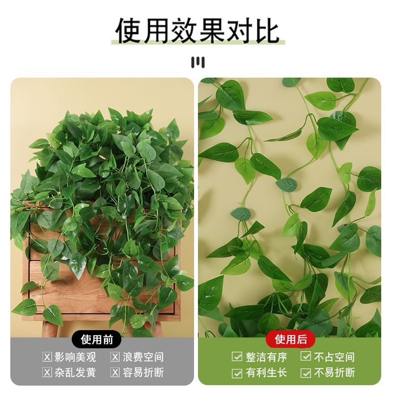 绿萝固定器双面粘贴片