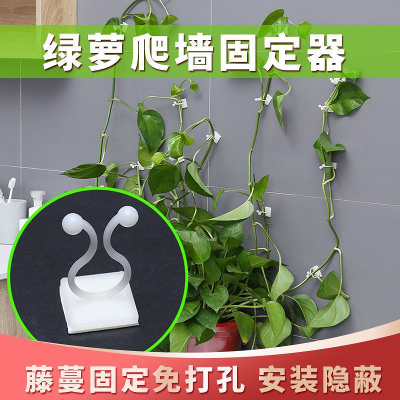 蔬菜藤蔓固定夹免打孔爬藤绑枝