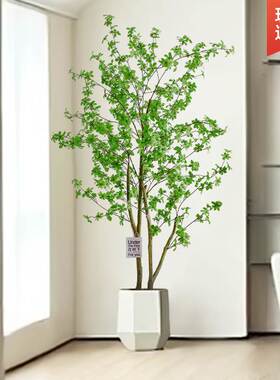 仿真绿色植物吊钟树假植物马醉w木室内大型盆栽客i厅装饰落地摆件