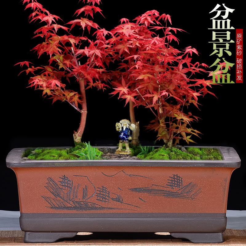 紫砂花盆特大长方形盆景盆假w山盆树桩绿萝植物盆栽创意口径陶瓷