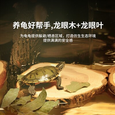 龙眼木乌龟晒台爬台晒背台龟缸造景天然躲避养龟专用垫脚歇脚休息