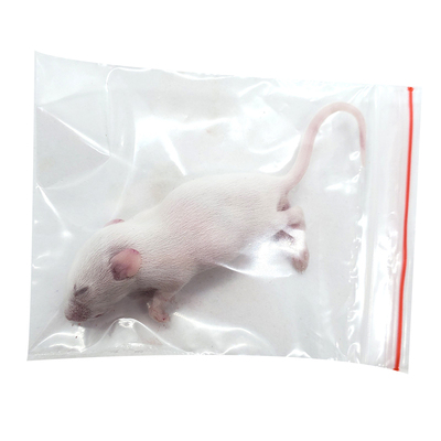 冷冻无菌乳鼠红皮猫粮小白鼠爬虫守宫龟龙角蛙龙鱼猪鼻玉米蛇饲料
