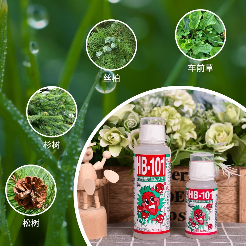 HB101植物活力素生长花卉绿植通用多肉兰花营养液快速扦插生根液