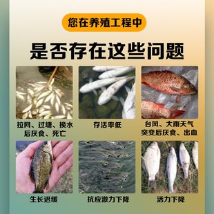 抗应激VC泡腾片水产养殖维生素解毒剂高稳VC鱼虾蟹养殖应激解毒灵