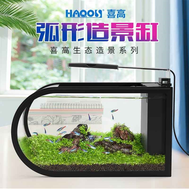 鱼缸客厅小型家用造景办公室创意生态迷你桌面懒人免换水缸水族箱