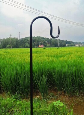 SHANGPIN 铁艺地插挂钩 园艺花插