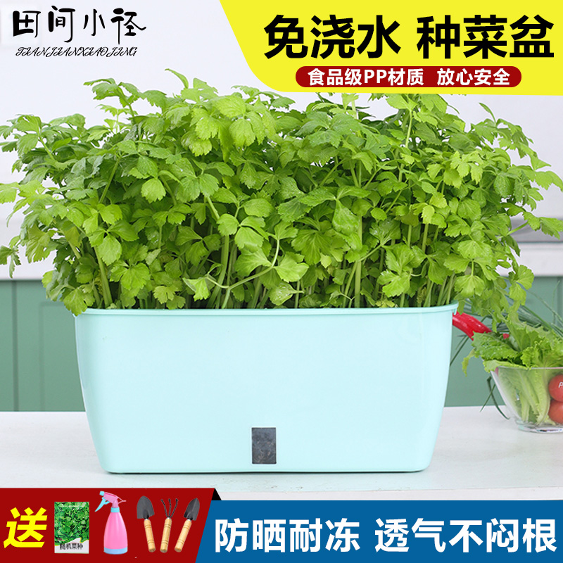 家庭种菜盆阳台菜盆蔬菜种植箱塑料盆窗沿长条草莓盆花槽懒人花盆