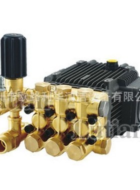 绿霸电动高压清洗机水泵3WZ-1808B/1810B1812B/3WZ-18145B