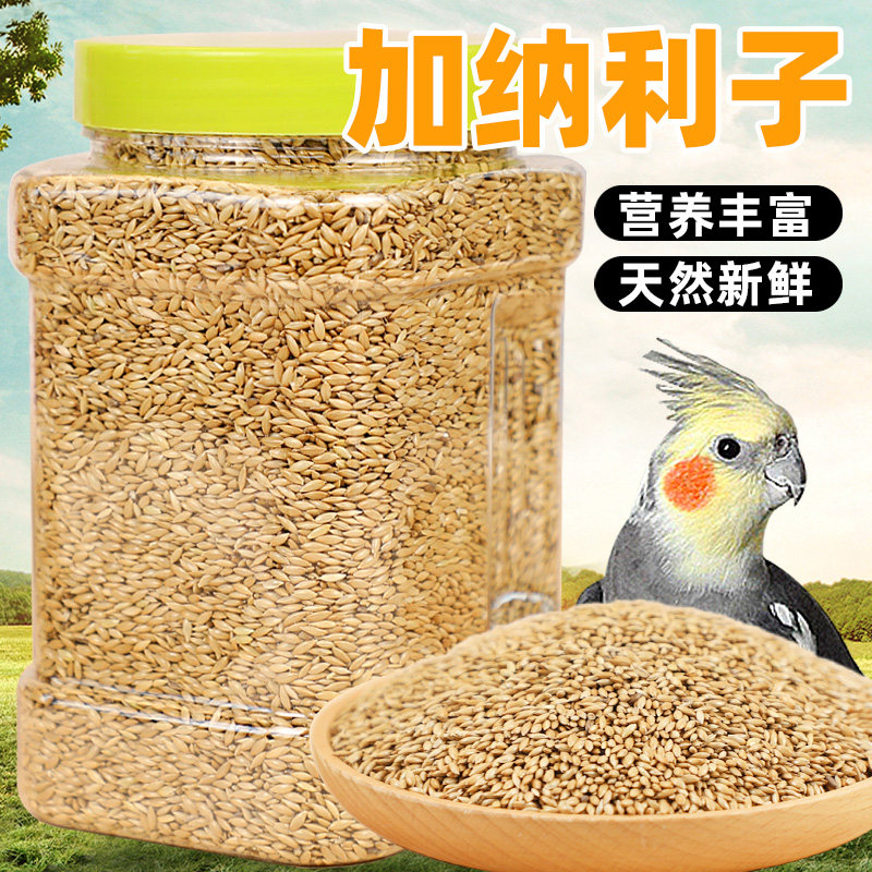 鹦鹉饲料加纳利子白尖带壳鸟粮玄凤虎皮牡丹绣眼中小型专用鸟食,宠物/宠物食品及用品,鸟食,淘宝优惠券,粉丝福利购,淘宝优惠卷