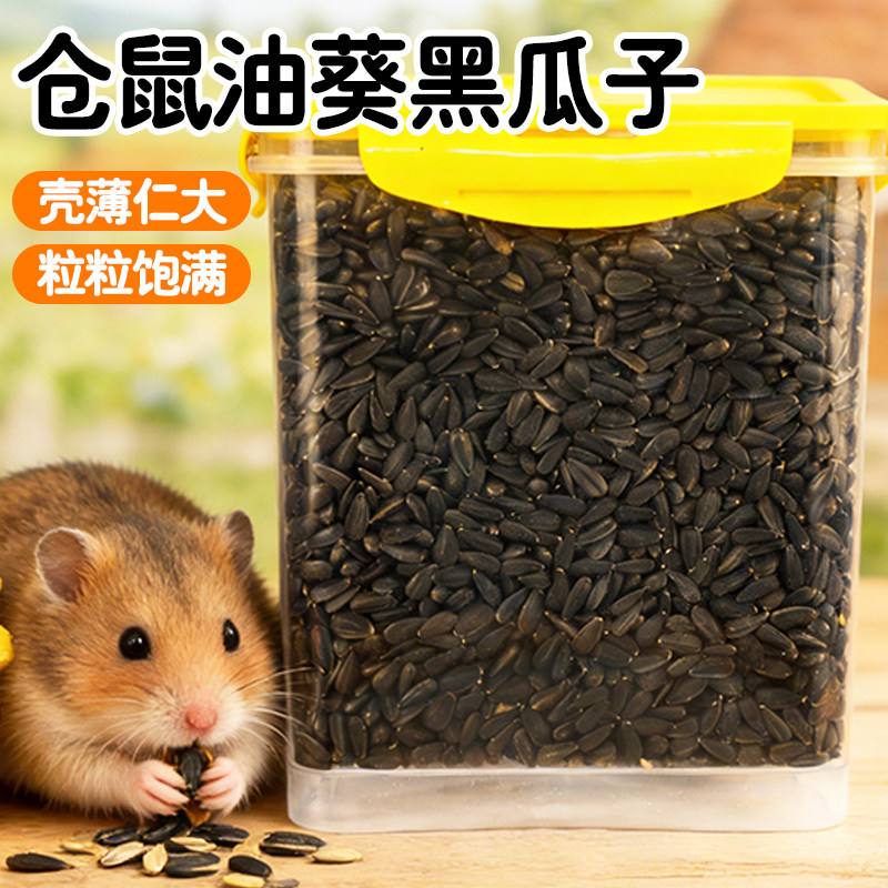 仓鼠油葵瓜子鹦鹉牡丹玄凤小瓜子食物鸟用葵花籽金丝熊专用粮食