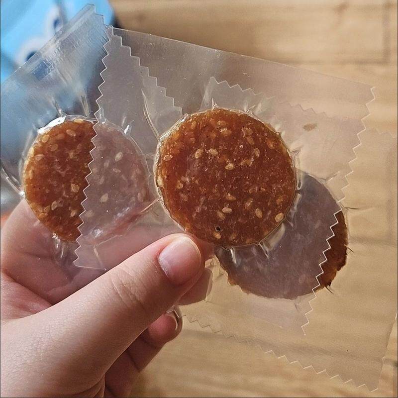 潮汕风味金钱脯潮汕猪肉脯炭烤蜜汁猪肉片独立包装充饥零食食品