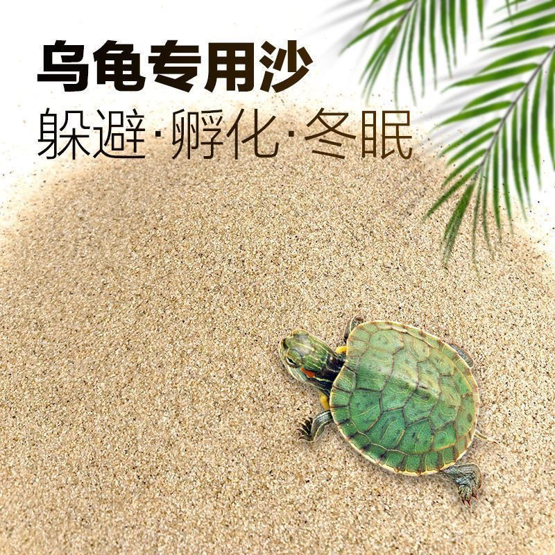 乌龟沙冬眠专用沙子造景图片