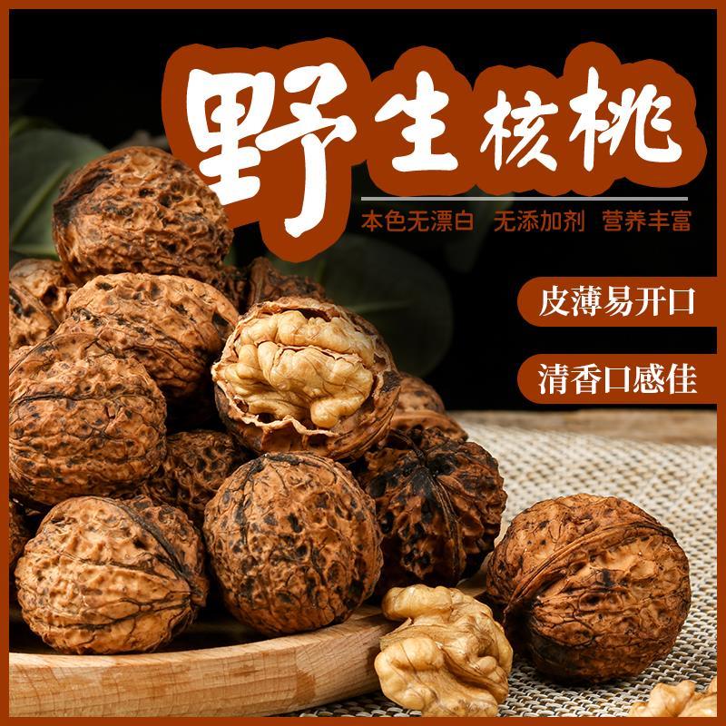 云南古树丑核桃2026年新货高山野生纸皮无漂洗干核桃孕妇小孩散装