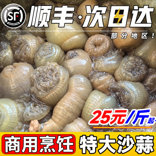 【不鲜包退】野生沙蒜商用烹饪