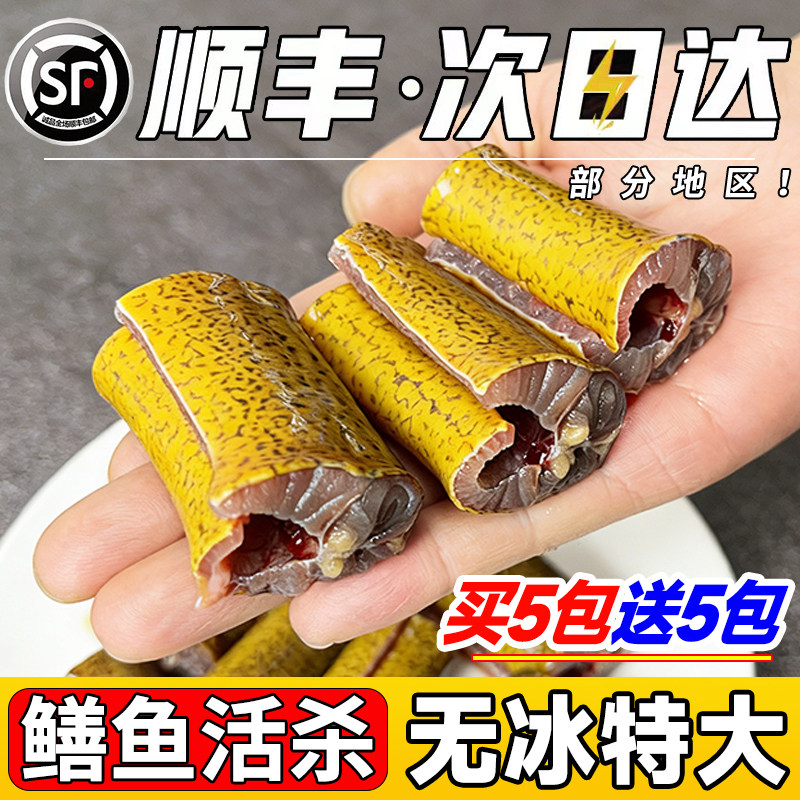 土黄鳝鱼段新鲜去头去脏鲜活现杀原生态鳝鱼片段炖骨煲汤鳝段商用