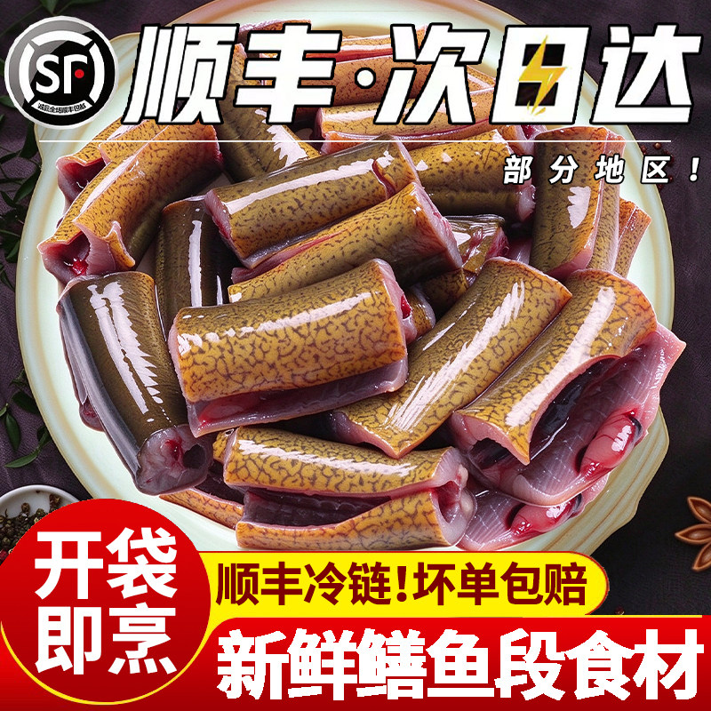鲜活现杀土黄鳝鱼段去头去脏商用