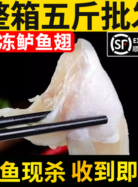 新鲜鲈鱼翅冷冻鱼腩翅膀鱼鳍洄鱼翅250g一包鱼腹鳍速冻鱼腩肉海鲜